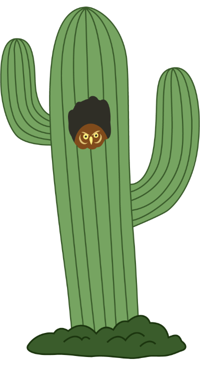 Mesquite Pediatrics Cactus graphic
