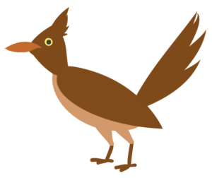Roadrunner graphic